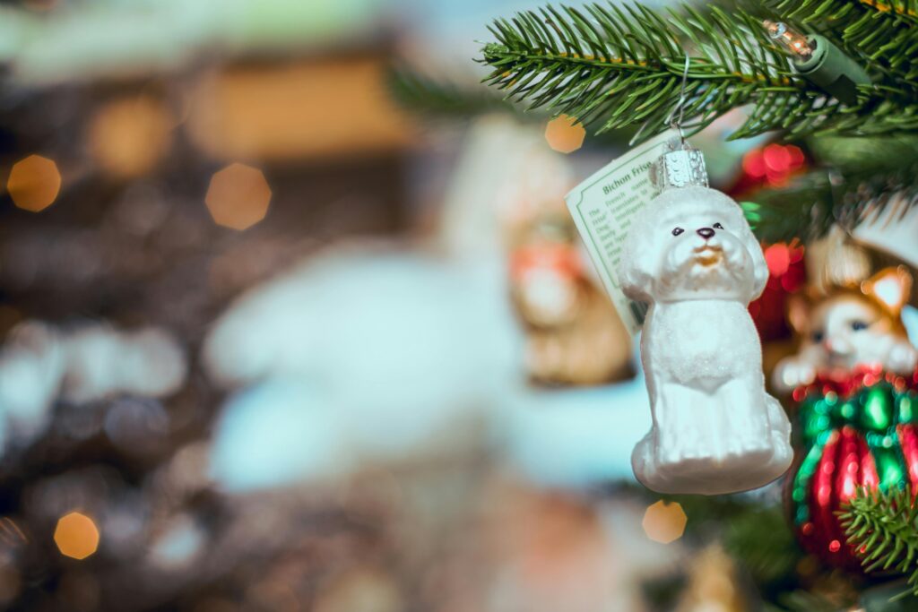 Close-up of a Bichon Frise ornament hanging on a Christmas tree branch, surrounded by festive decorations.